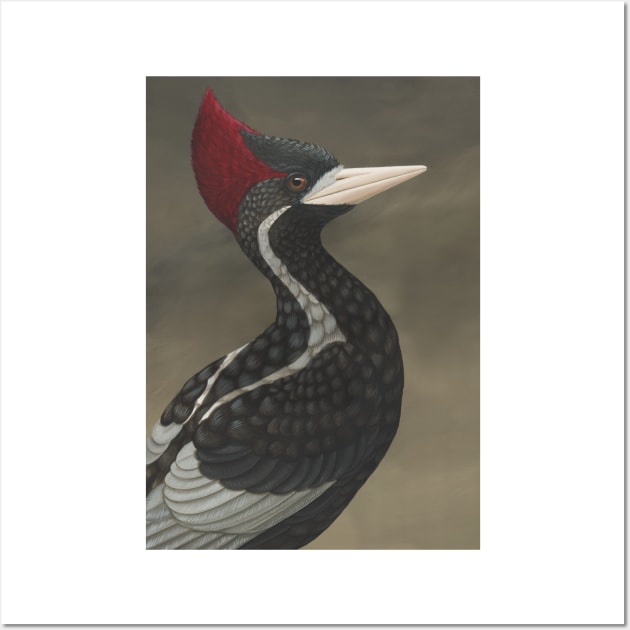 Ivory-billed Woodpecker (Campephilus principalis) Wall Art by JadaFitch